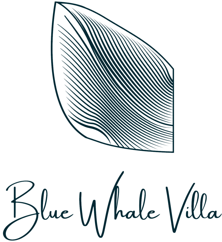 Blue Whale Villa